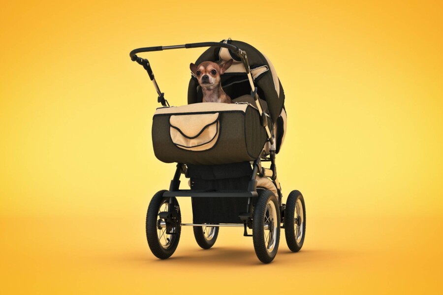 Wózek spacerowy Euro Cart Volt Pro Black Edition Mineral jako stylowy wybór na każdą pogodę
