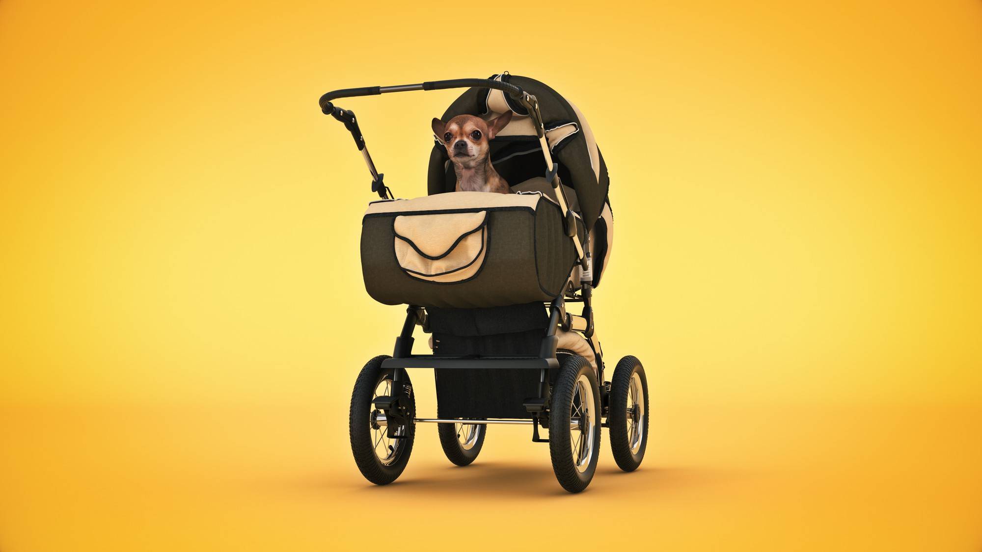 Wózek spacerowy Euro Cart Volt Pro Black Edition Mineral jako stylowy wybór na każdą pogodę