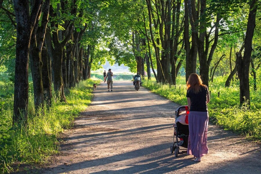 Jaką spacerówkę wybrać forum radzi przy wyborze wózka dziecięcego?